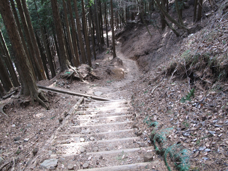 20170118hike (464)
